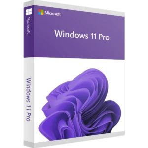 Windows 11 Pro Produktschlüssel download
