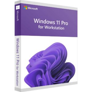 Windows 11 Pro for Workstation Produktschlüssel download