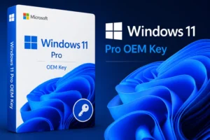 Windows 11 Pro OEM Key