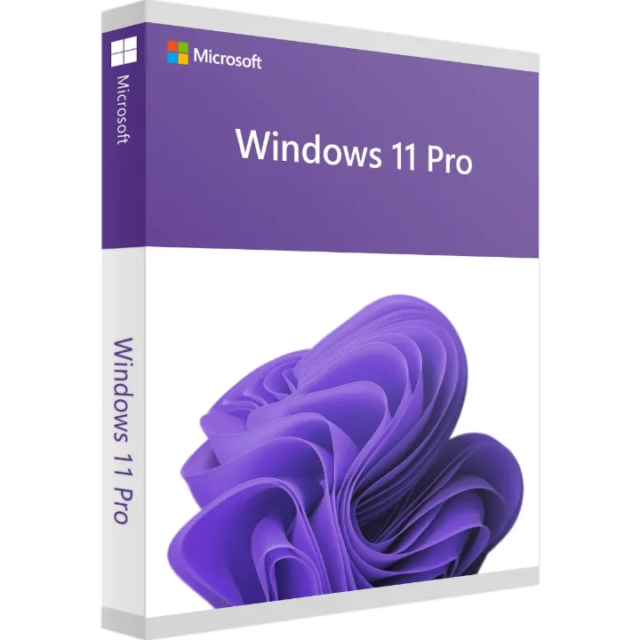 Windows 11 Pro